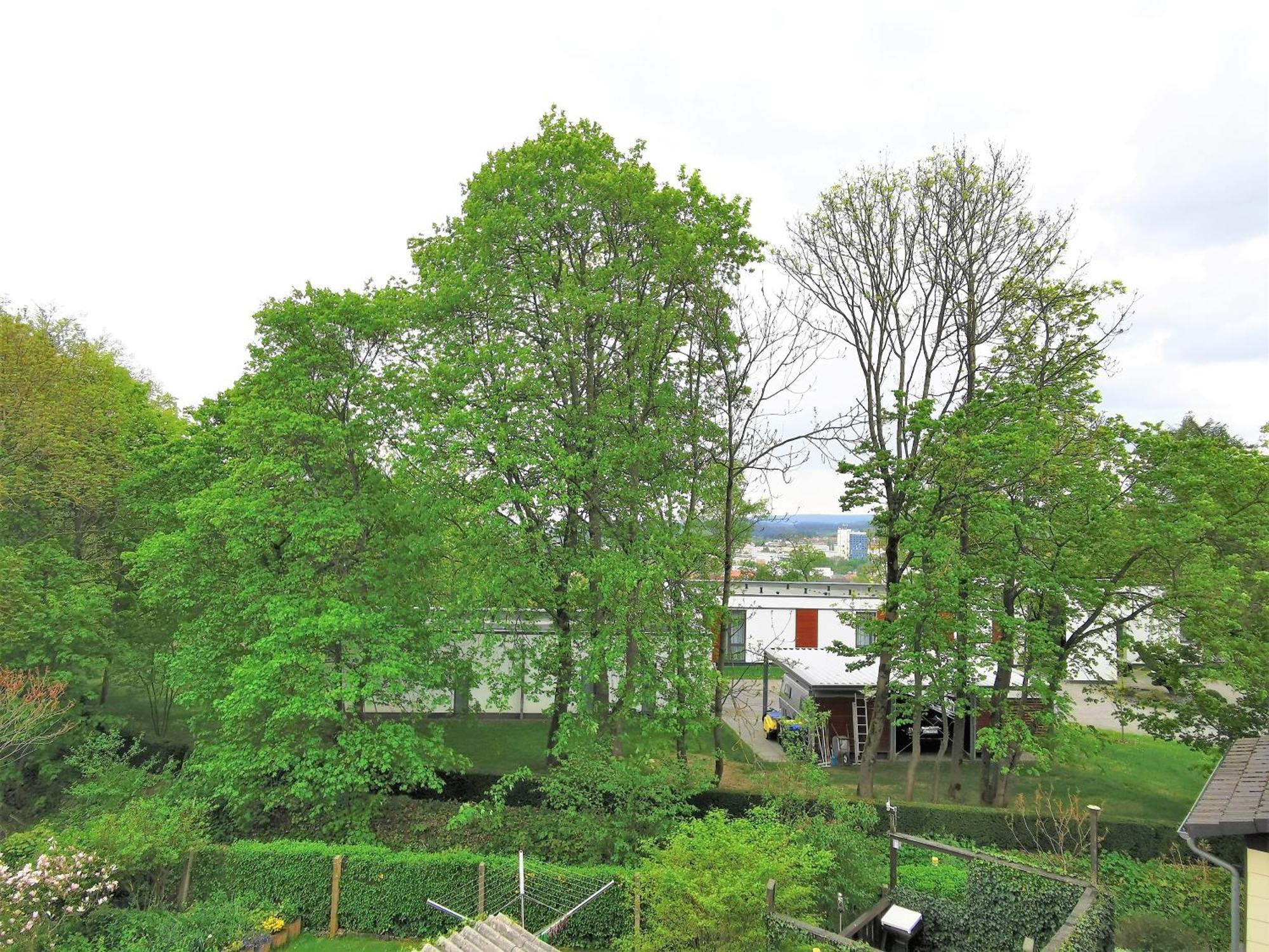 Bohnapartments - Stadtblick Zechenhaus - Balkon - Gratis Parkplatz - Wlan - Sehr Ruhig - Barrierearm Ilmenau Esterno foto