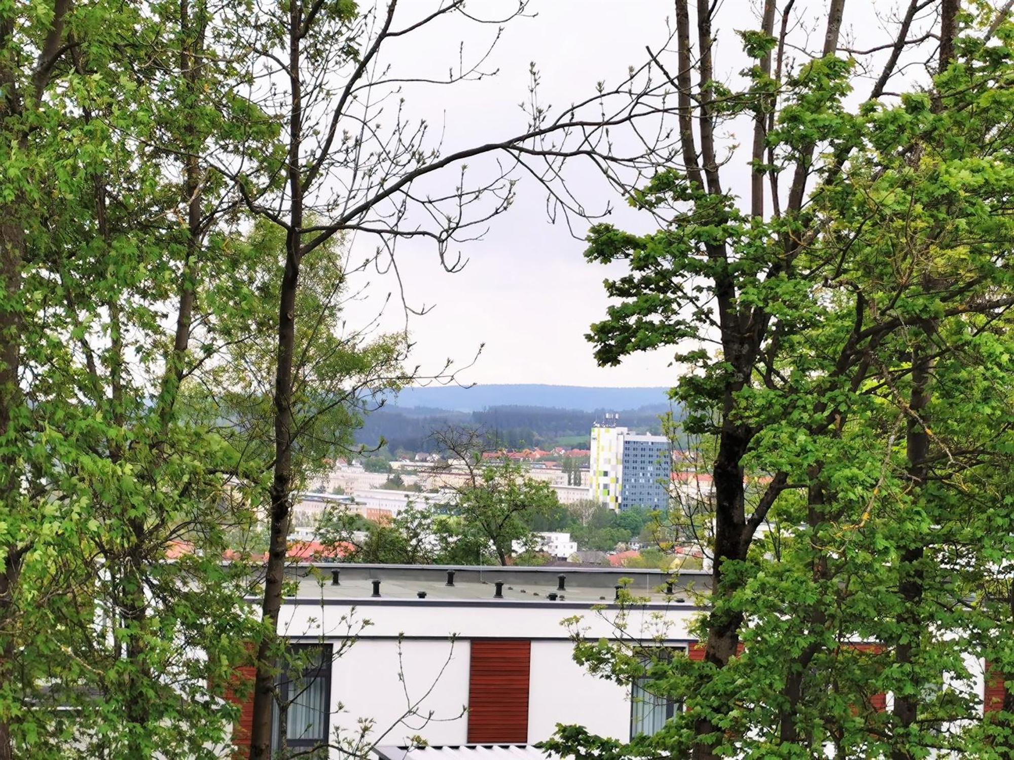 Bohnapartments - Stadtblick Zechenhaus - Balkon - Gratis Parkplatz - Wlan - Sehr Ruhig - Barrierearm Ilmenau Esterno foto